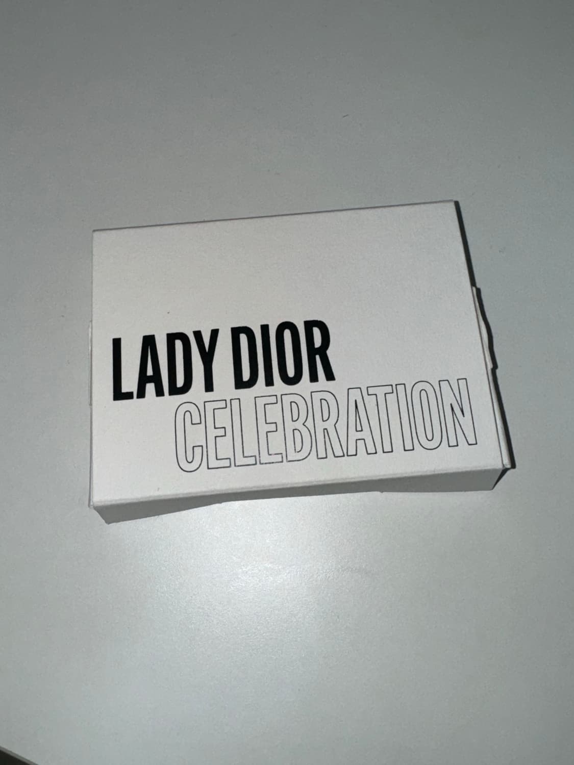 디올 레이디백 뱃지 상품이미지4