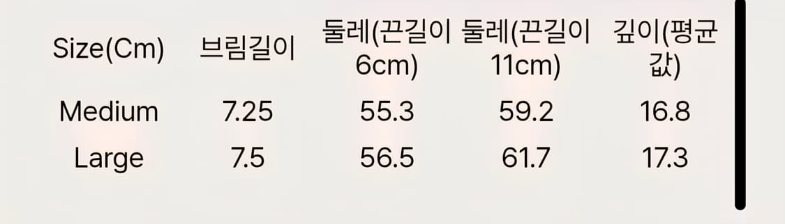 테프스토어즈 H 볼캡 L사이즈 상품이미지3