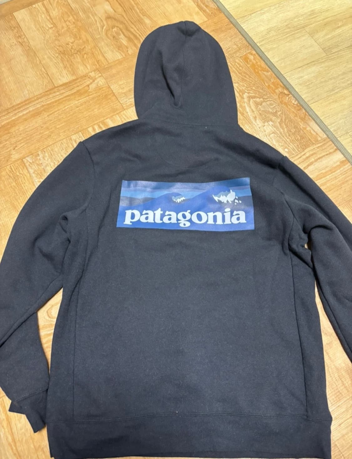파타고니아 후드티 상품이미지1