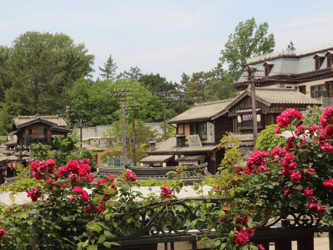 작례O) 삼성 케녹스 s850 빈티지디카 상품이미지6