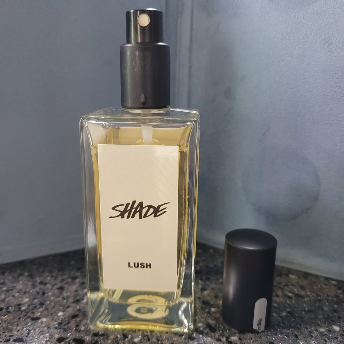 러쉬 쉐이드 퍼퓸 100ml 향수 (6) 상품이미지2