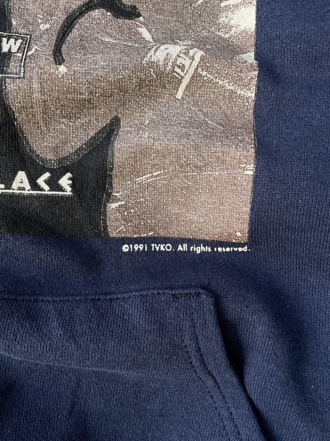 Rare!!) OG 1991 Mike Tyson  Promo Hoodie 상품이미지6