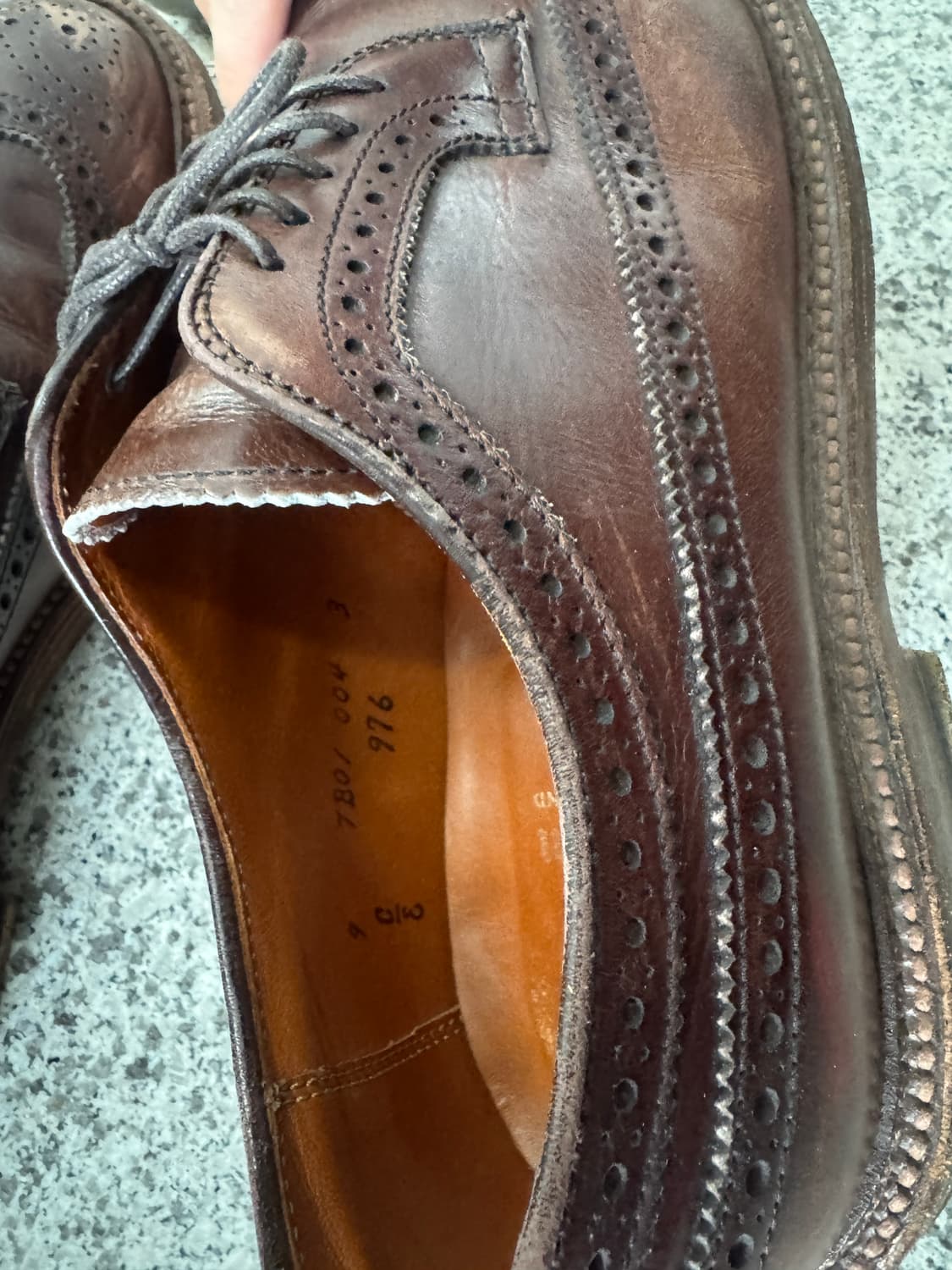 알든 코도반 롱윙 슈즈 976 (9C/E)  상품이미지5