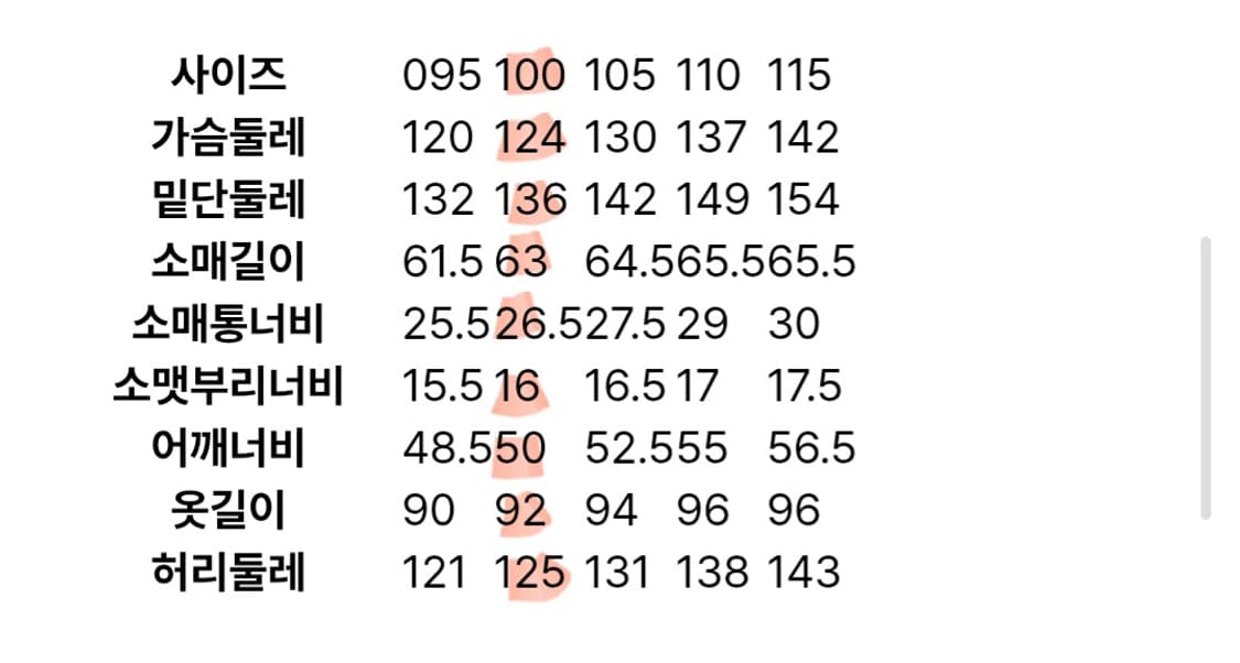 BEANPOLE 빈폴 BX-2 구스다운 점퍼(100) 상품이미지10