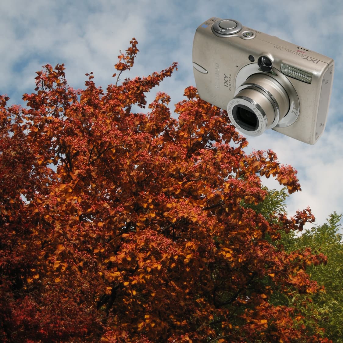 IXY Digital 700 / IXUS 750 (✨A급/🎁풀패키지) 상품이미지6