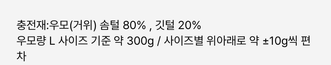 247시리즈 SOLOTEX 구스다운점퍼 상품이미지6