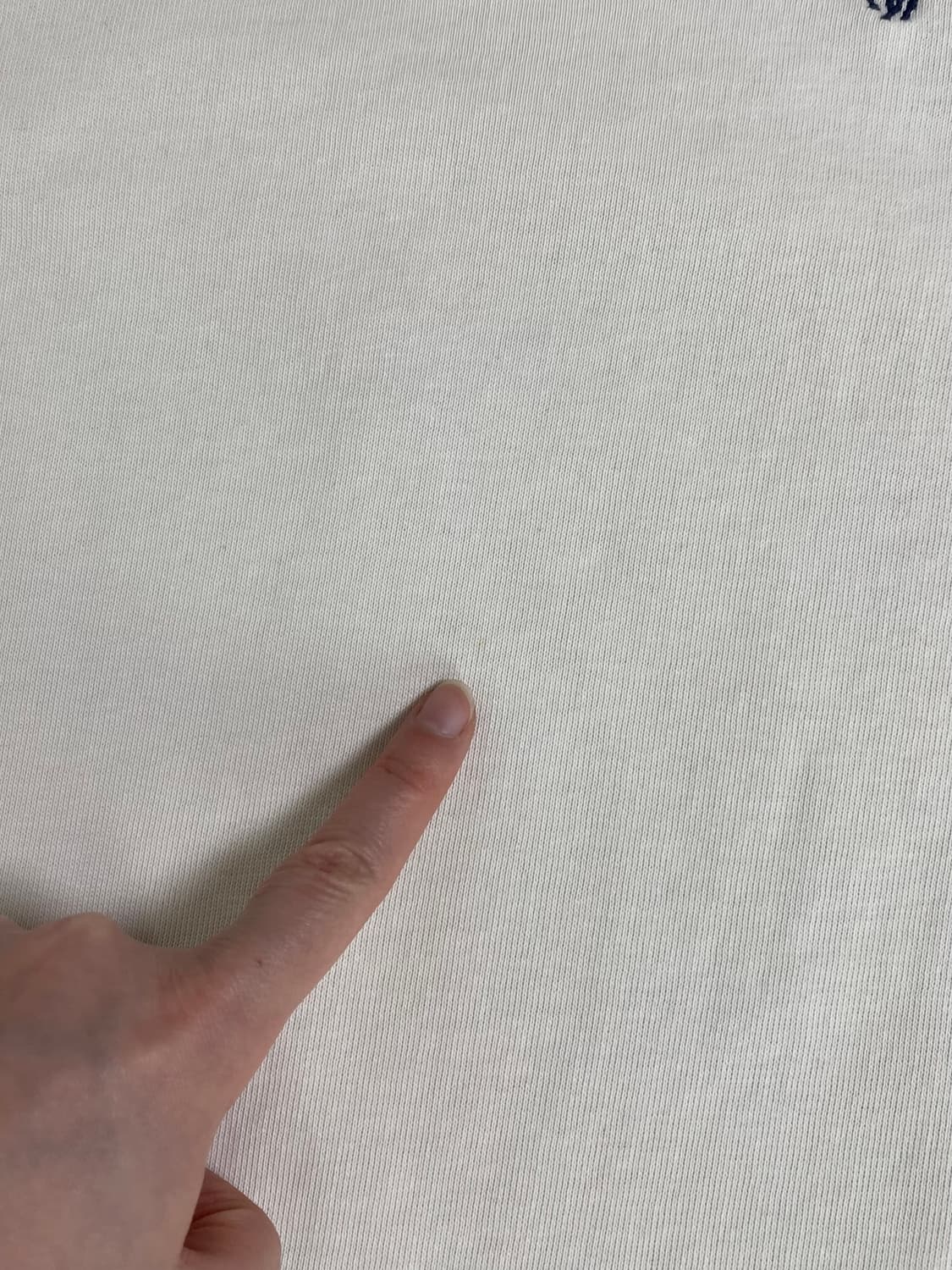 폴로 맨투맨 상품이미지6