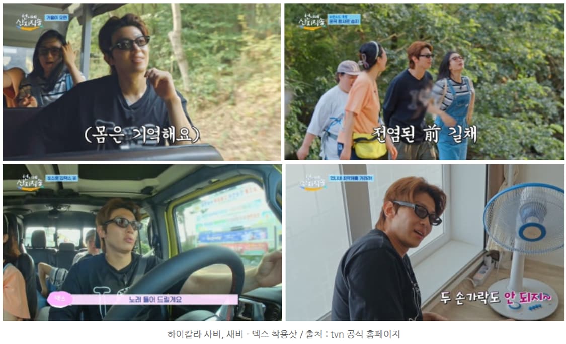 하이칼라 사비 선글라스 상품이미지6