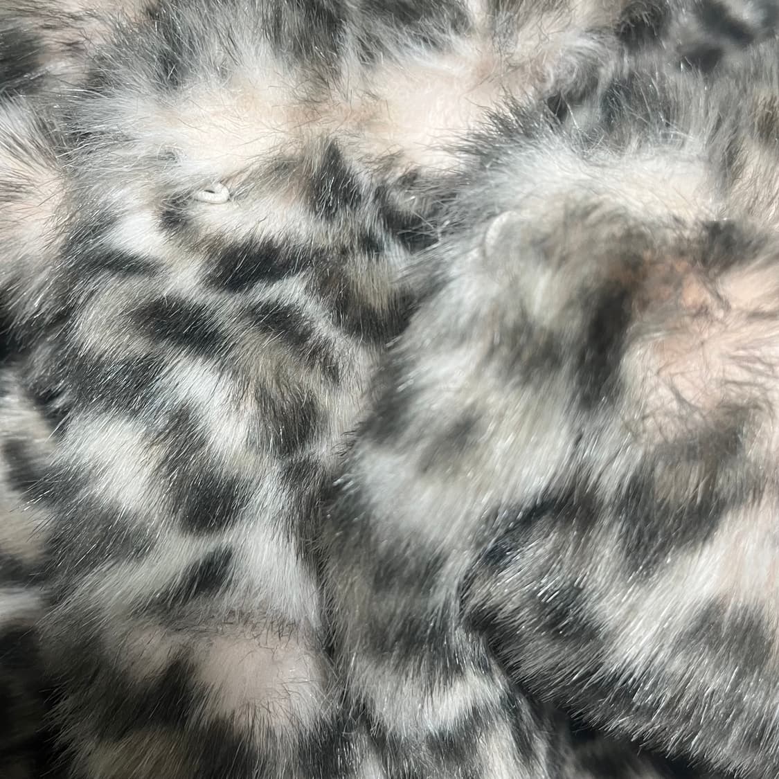 세실맥비 히메갸루 오네갸루 호피 퍼자켓 상품이미지4