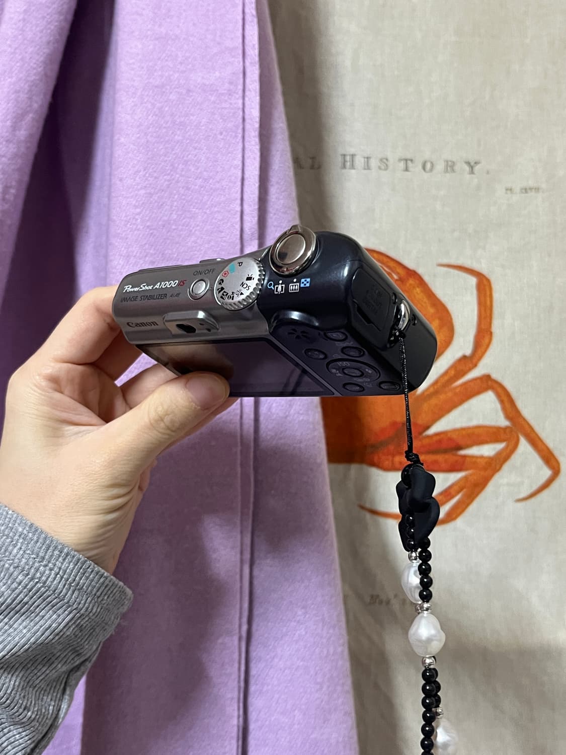 캐논 A1000is 상품이미지3