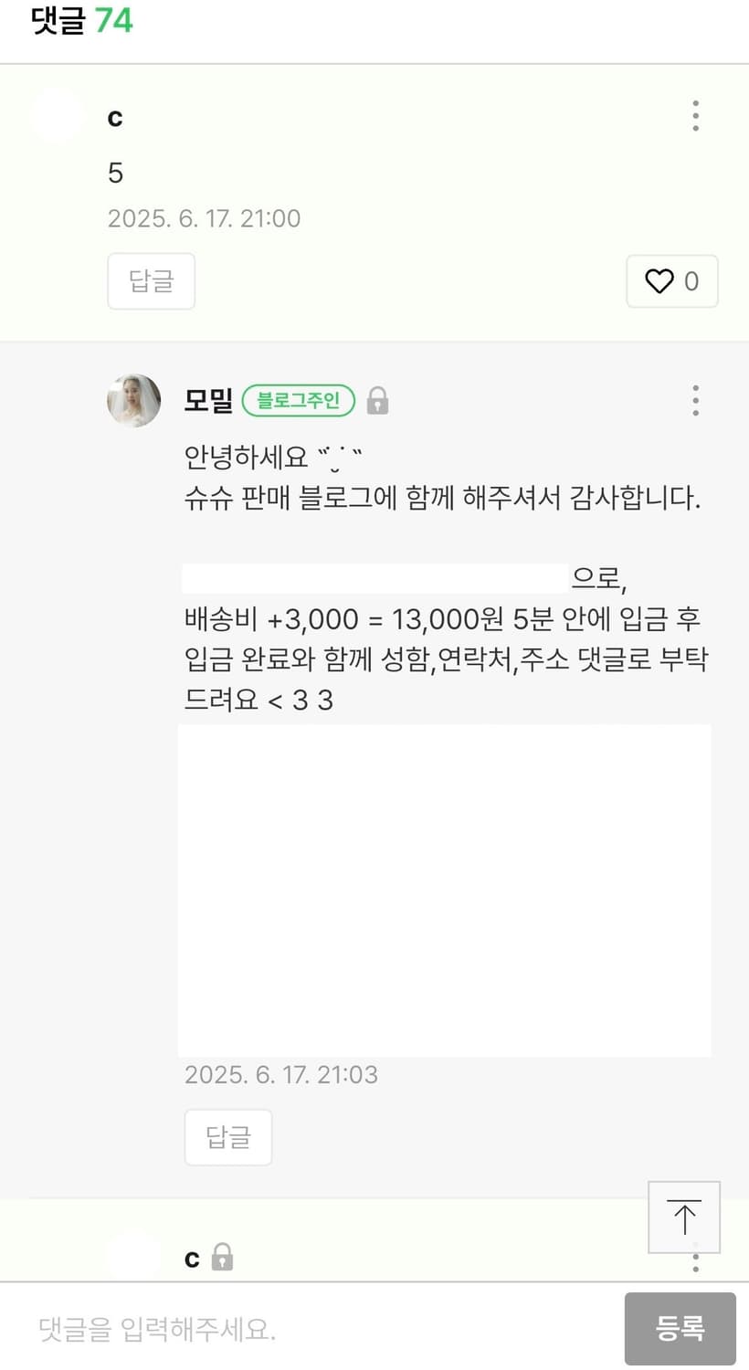 [3개 일괄] 카모메산장🍑 슈슈, 목걸이. 상품이미지2