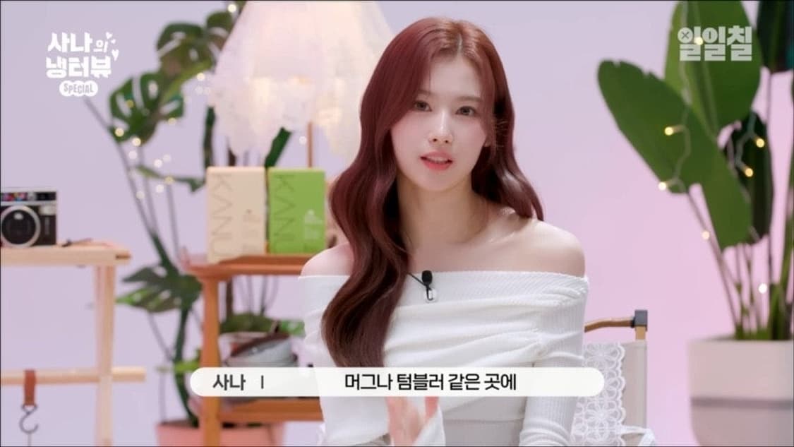 냉터뷰 사나 착용 페인오어플레져 오프숄더 s 상품이미지1