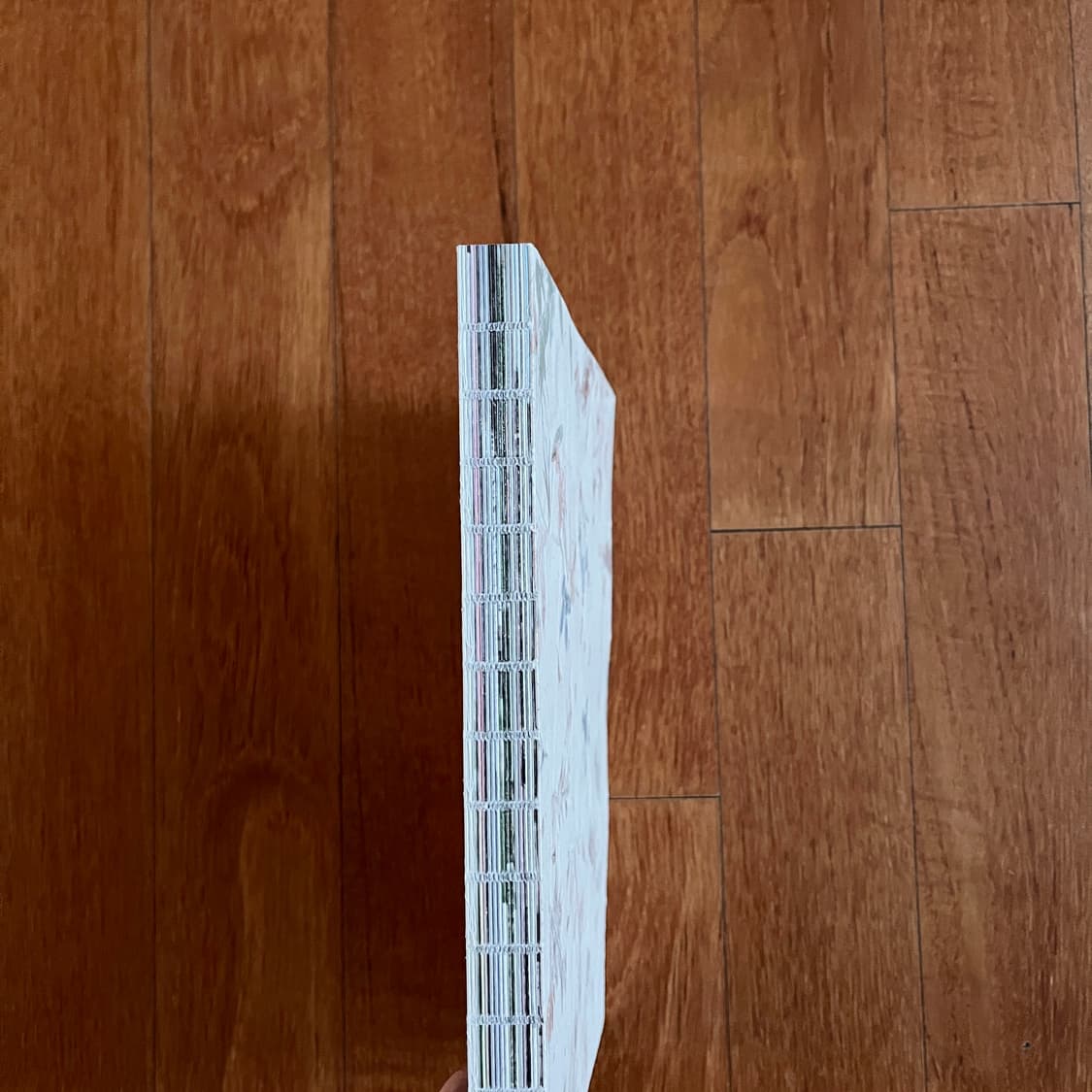 Jil sander & A Magazine / N°21 상품이미지8