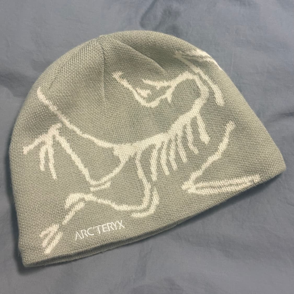 아크테릭스 버드 헤드 토크 해비타트 상품이미지1