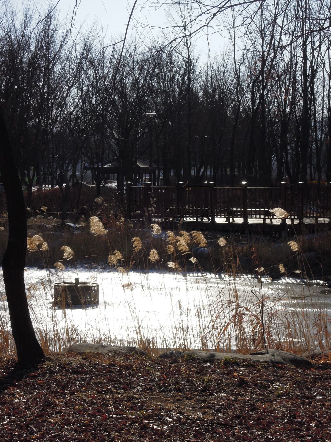 니콘 쿨픽스 p300 상품이미지5