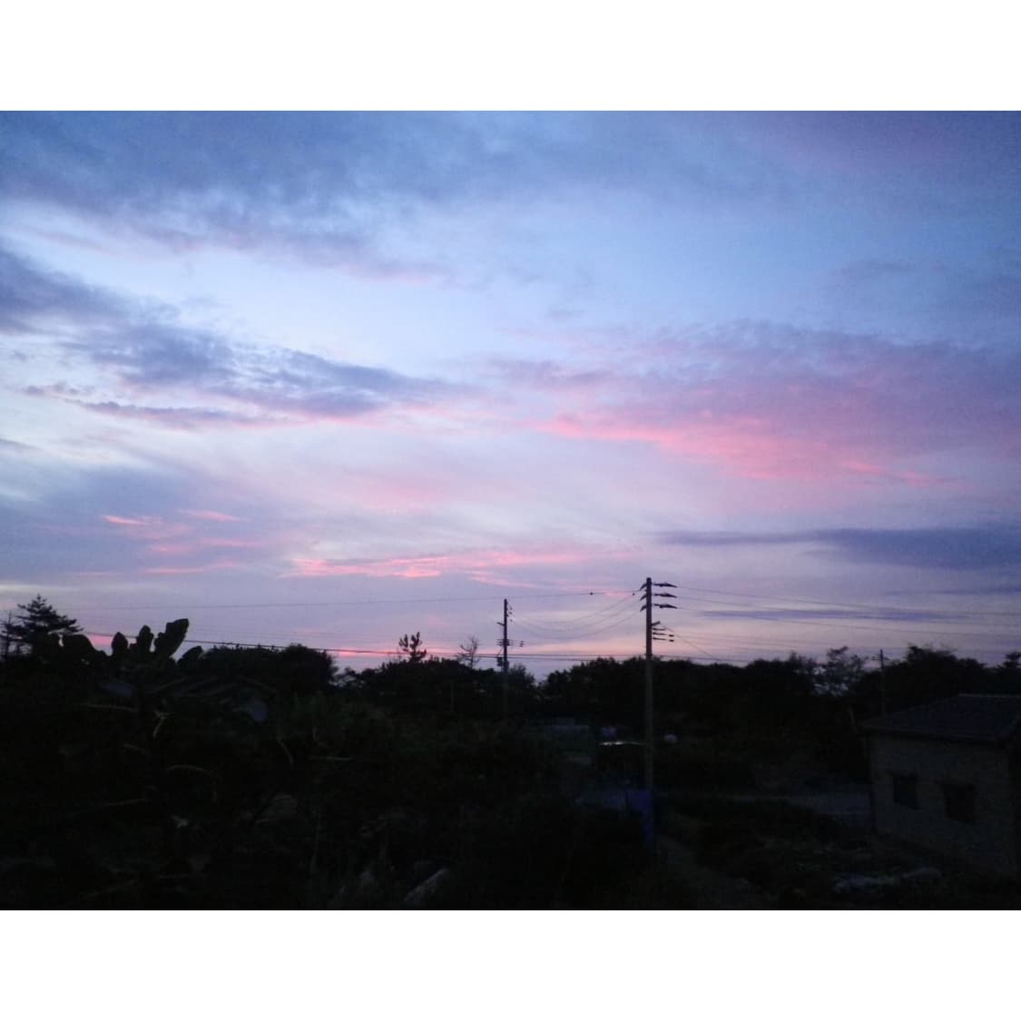 펜탁스 옵티오 i-10 화이트컬러 (작례 0) 상품이미지4