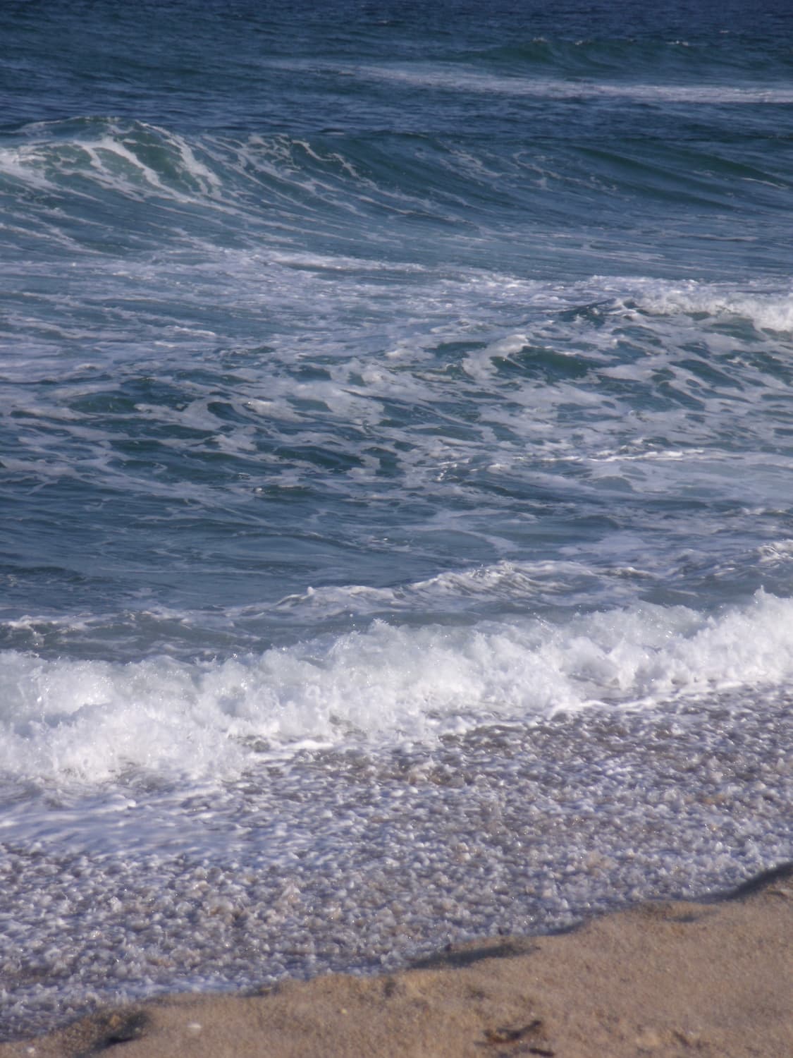 후지필름 파인픽스 j150w 빈티지디카 디지털카메라 상품이미지7