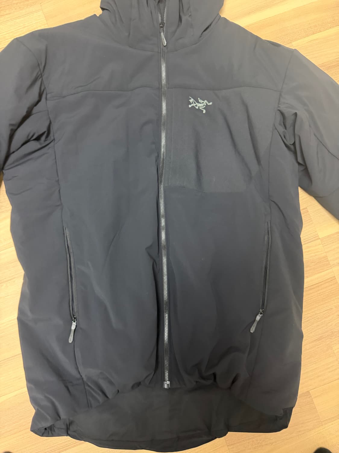 아크테릭스 프로톤 후디 상품이미지3