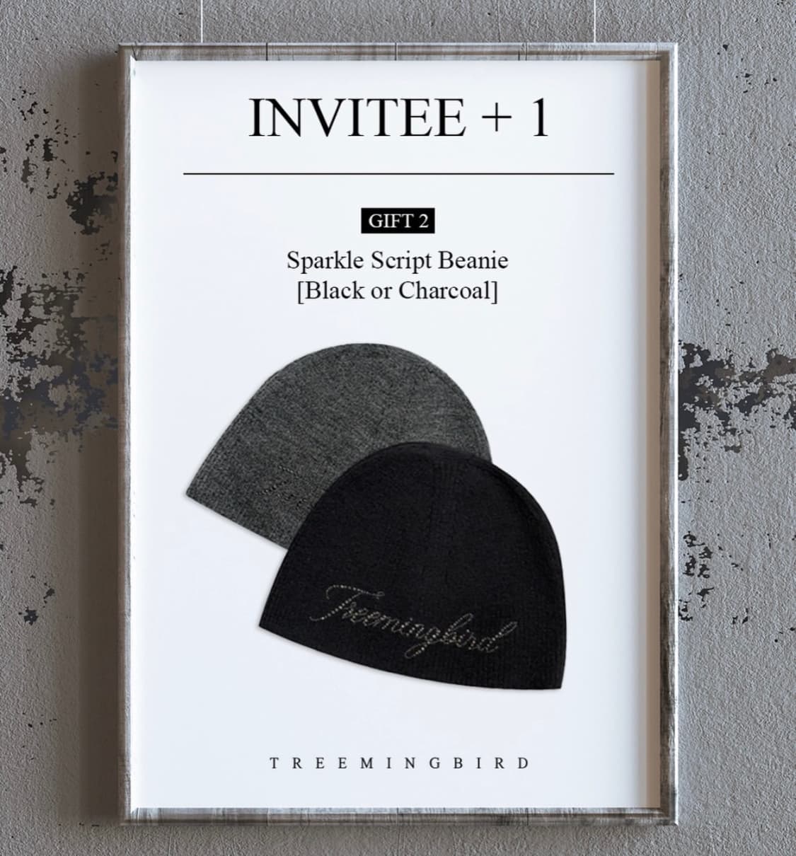 트리밍버드 비니 그레이 색상 상품이미지1