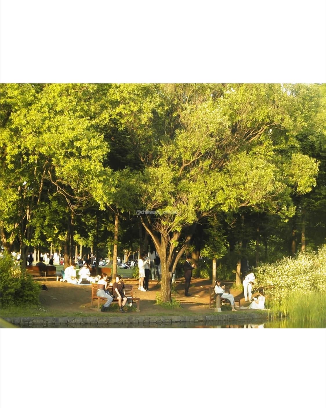 JVC GZ MC200 상품이미지2