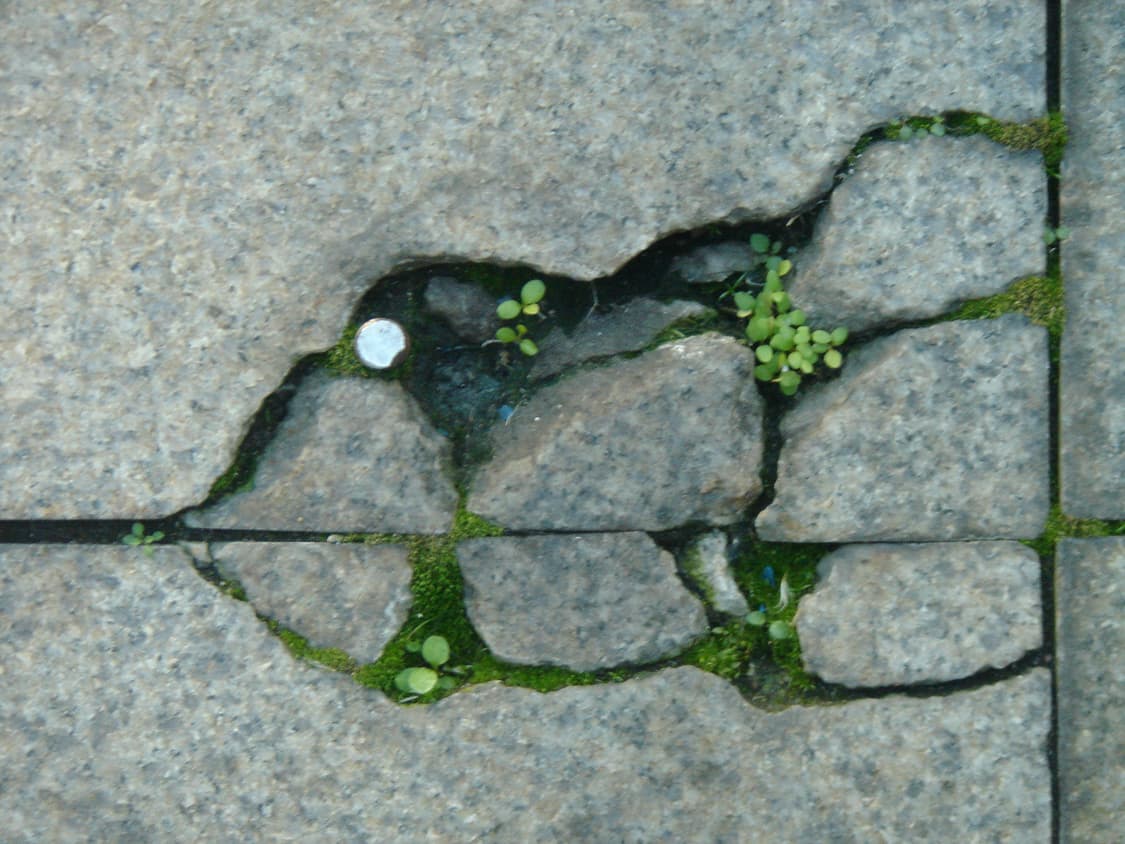 Sony CyberShot DSC-T1 상품이미지4