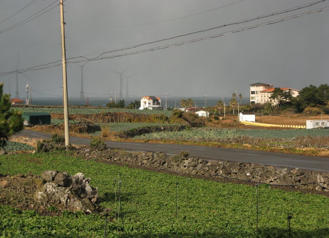 [예약중] 캐논 파워샷 g9 상품이미지10