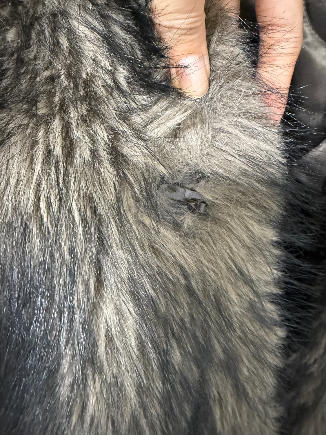 밀로우먼 버클 롱 헤어 퍼자켓 브라운 S 상품이미지5