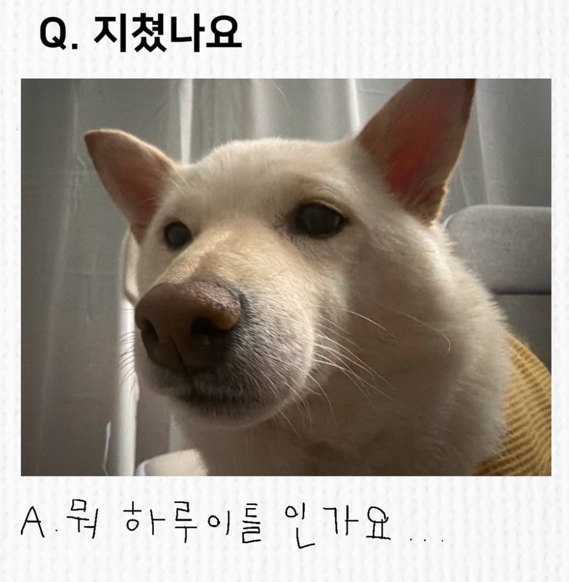 구매창 상품이미지1