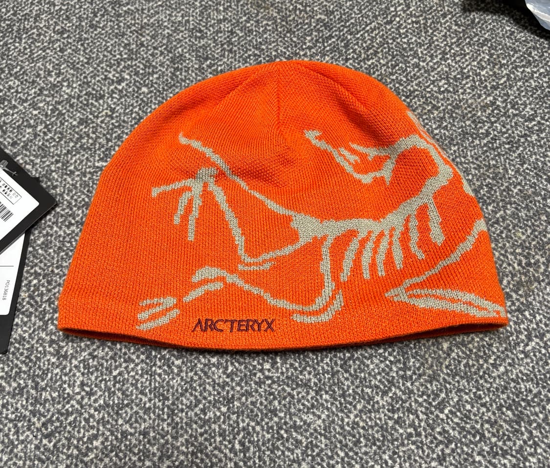 아크테릭스 버드 헤드 토크 페놈 상품이미지2