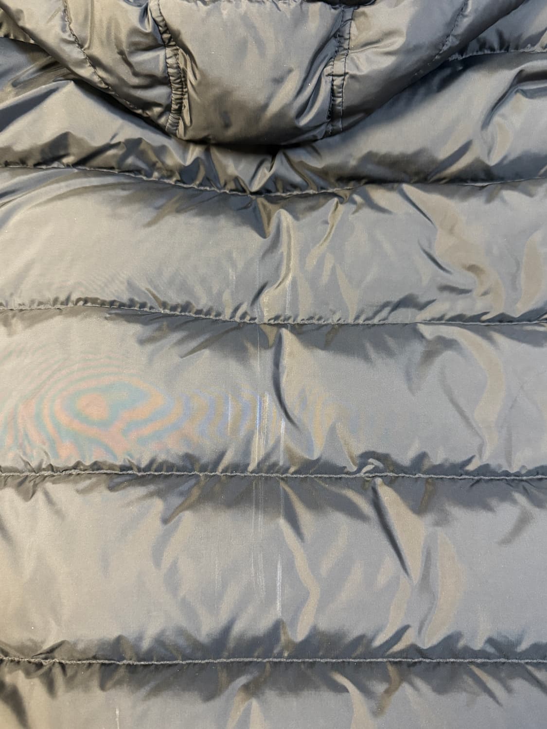 몽클레어 클루니 6 사이즈 상품이미지3