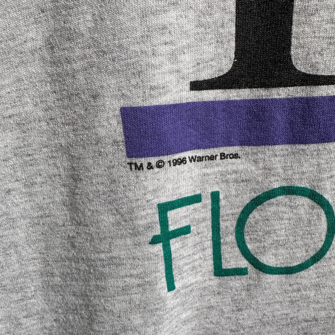 96 usa looney tunes taz florida t shirt 상품이미지5