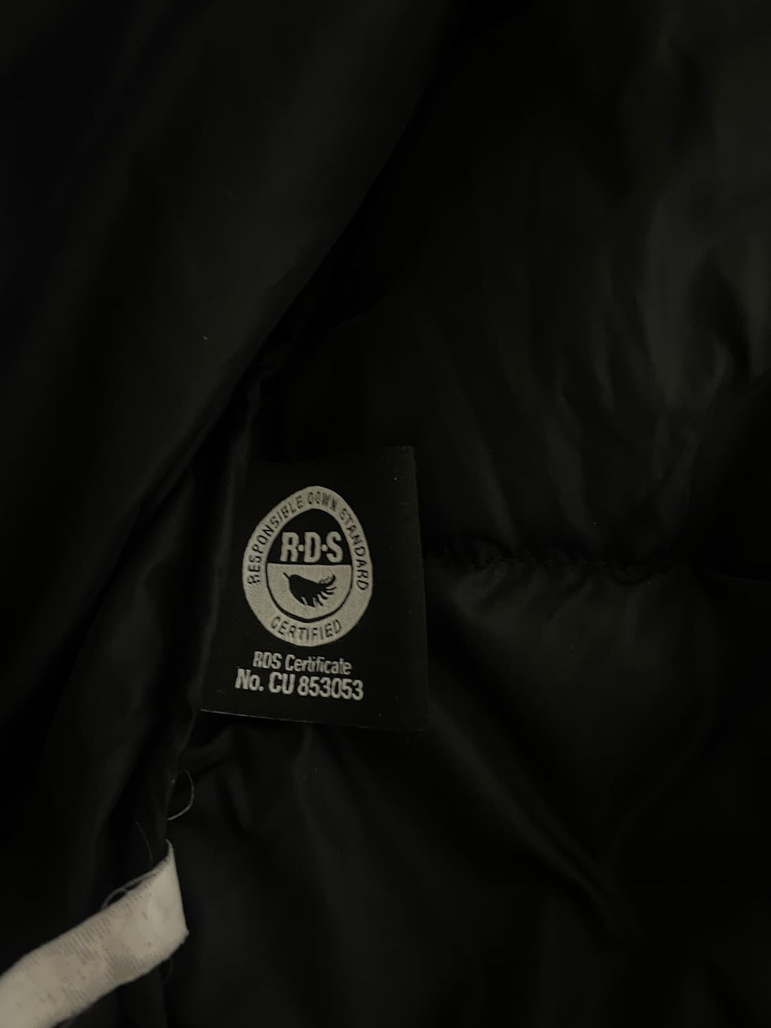 (택포)노스페이스 에코 눕시 패딩 블랙 s 무광 상품이미지4