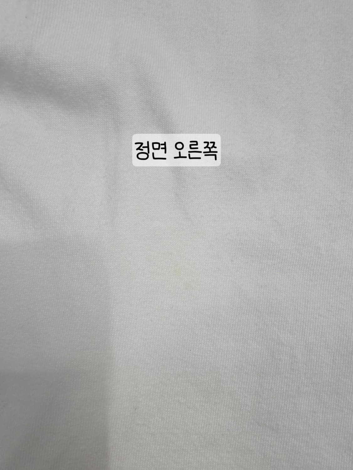 [프립]M/덕다이브 양팔 그래픽 프린팅 긴팔티셔츠 화이트 상품이미지9