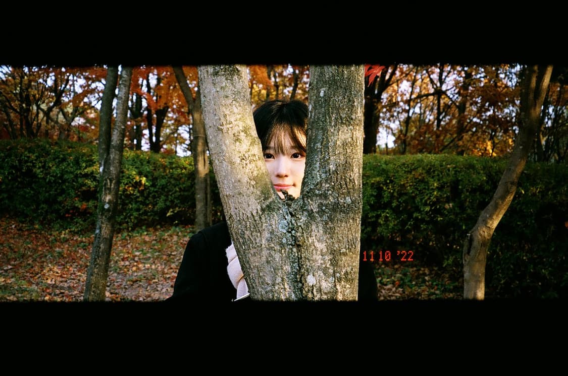 작례O 명기 후기형 아남 니콘 줌 500 af 필름카메라 빈티지 필카 상품이미지6