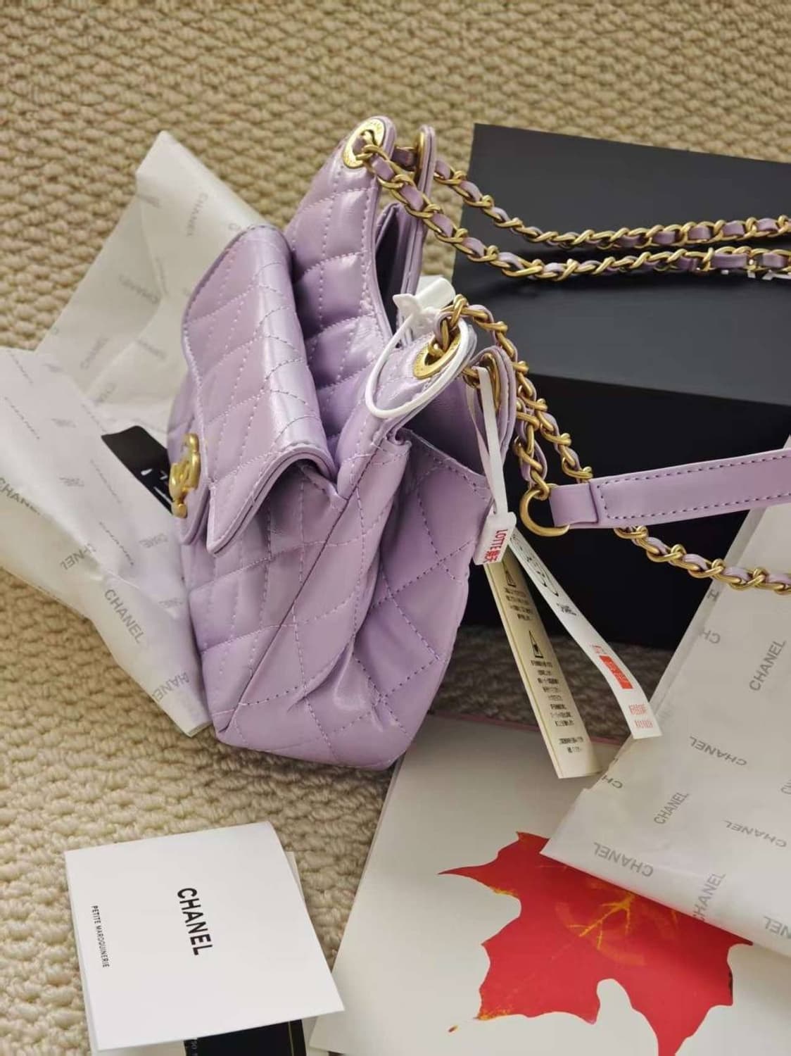 샤넬 스몰 호보백 상품이미지2