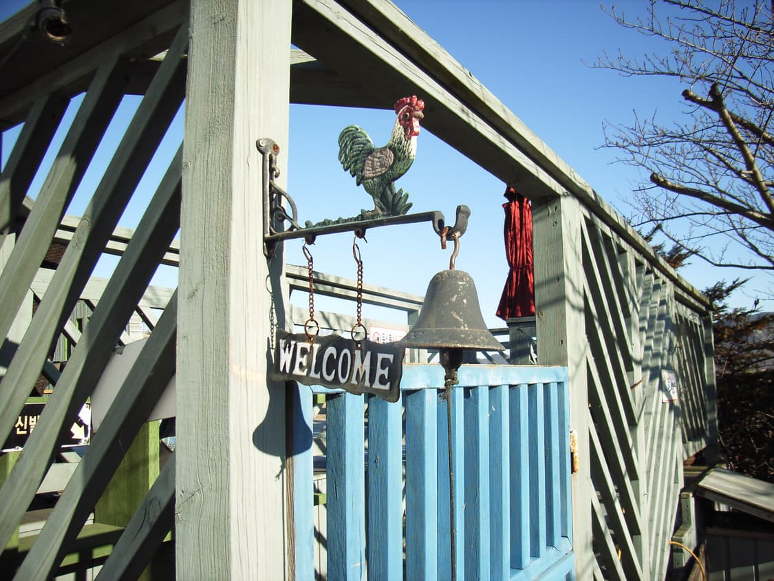 리코 카프리오 RICOH Caplio R1 디카 상품이미지8