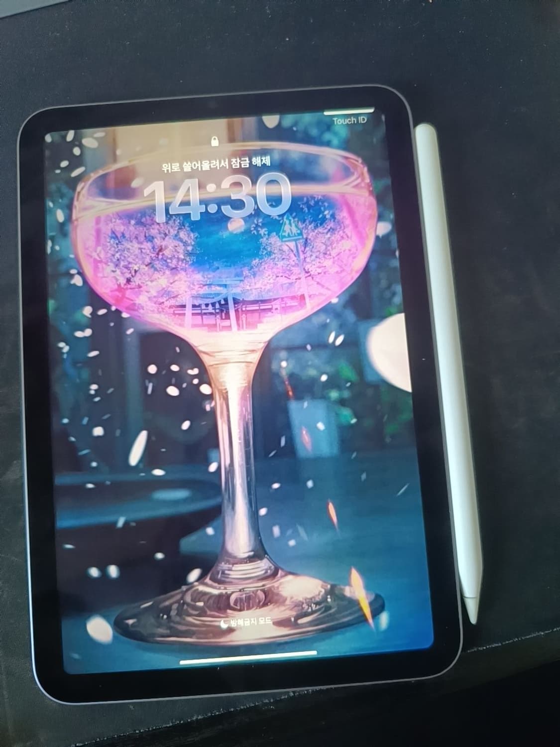 (배터리 효율81%)아이패드 미니6 256 wifl+ 애플펜슬2 상품이미지1