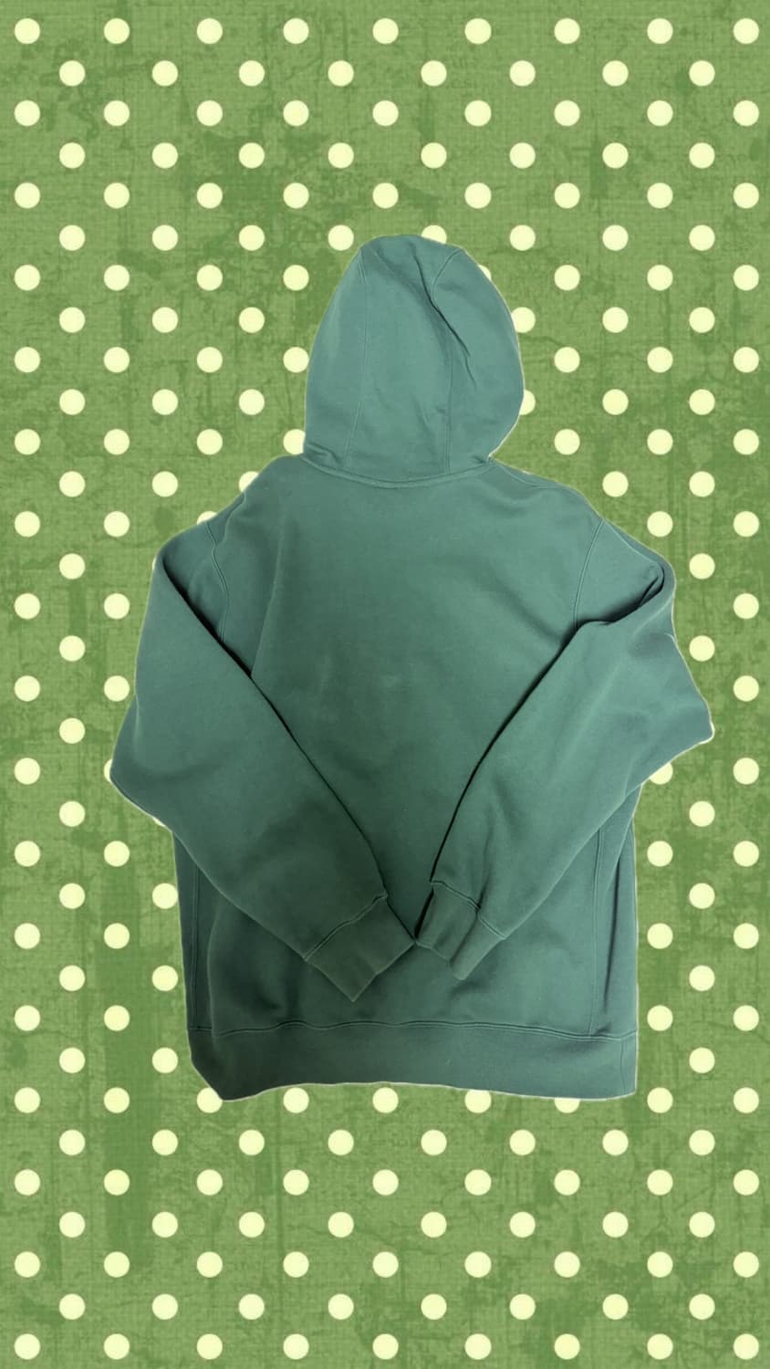 나이키 후드티 상품이미지3