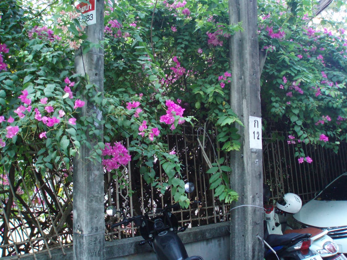 올림푸스 뮤 디지털 600 상품이미지5