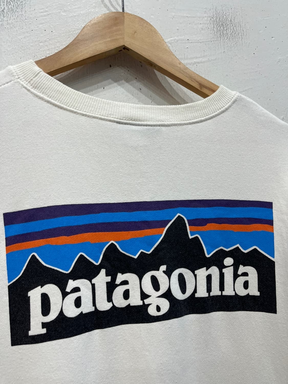 파타고니아 맨투맨 스웻셔츠 L 상품이미지3