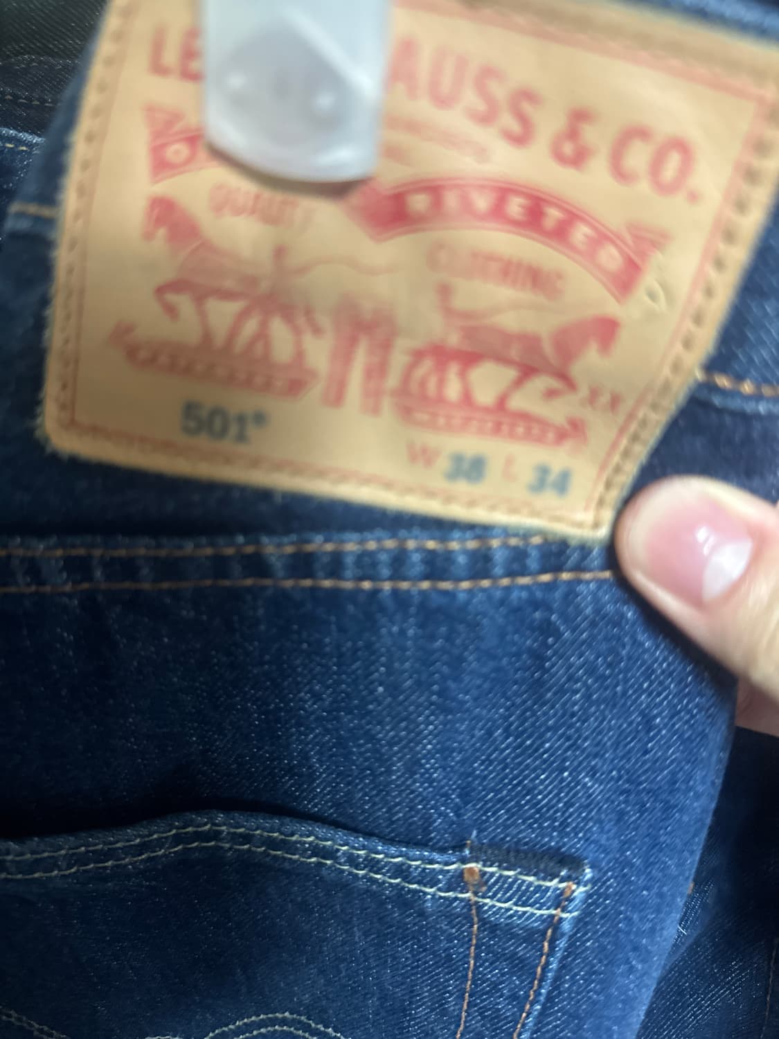 bless smlxl 501 상품이미지3