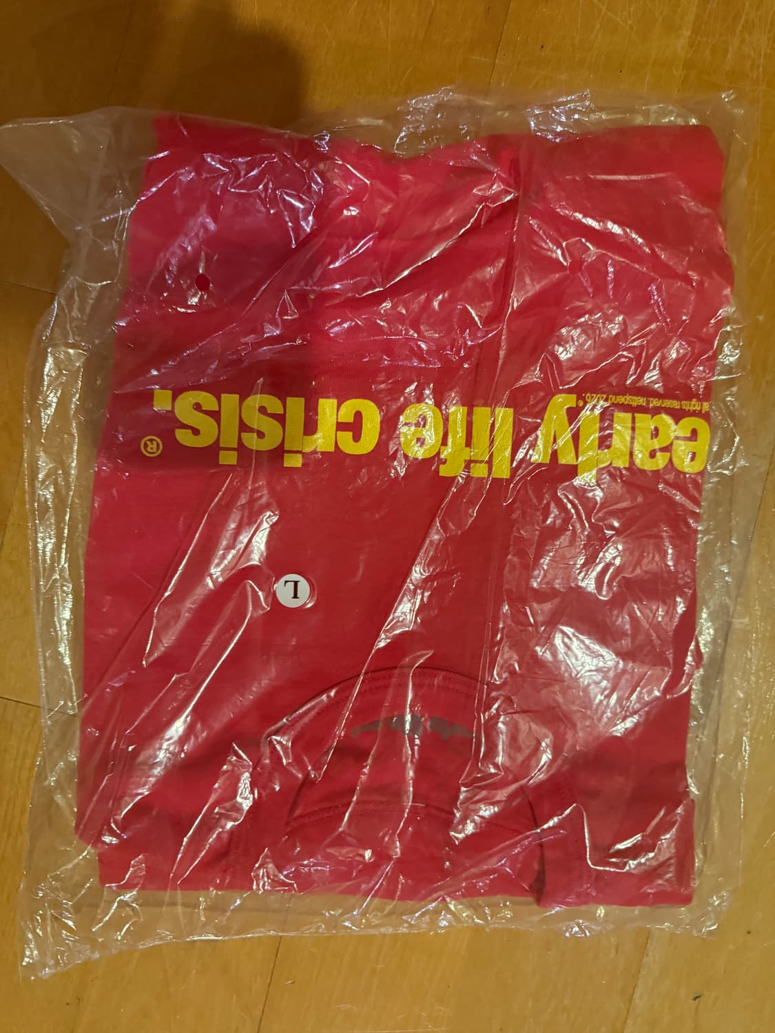 erl X)넷스펜드 early life crisis 머천다이즈 티셔츠 L 상품이미지2