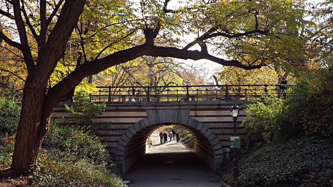 ✨한효주 디카✨ 삼성 미러팝 mv-900F (작례o) 상품이미지8