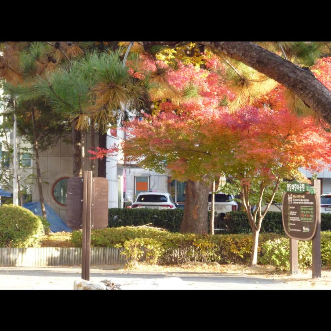 파나소닉 DMC-S2  베이비 블루 매트🌬️ 빈티지 디카 디지털카메라 상품이미지7