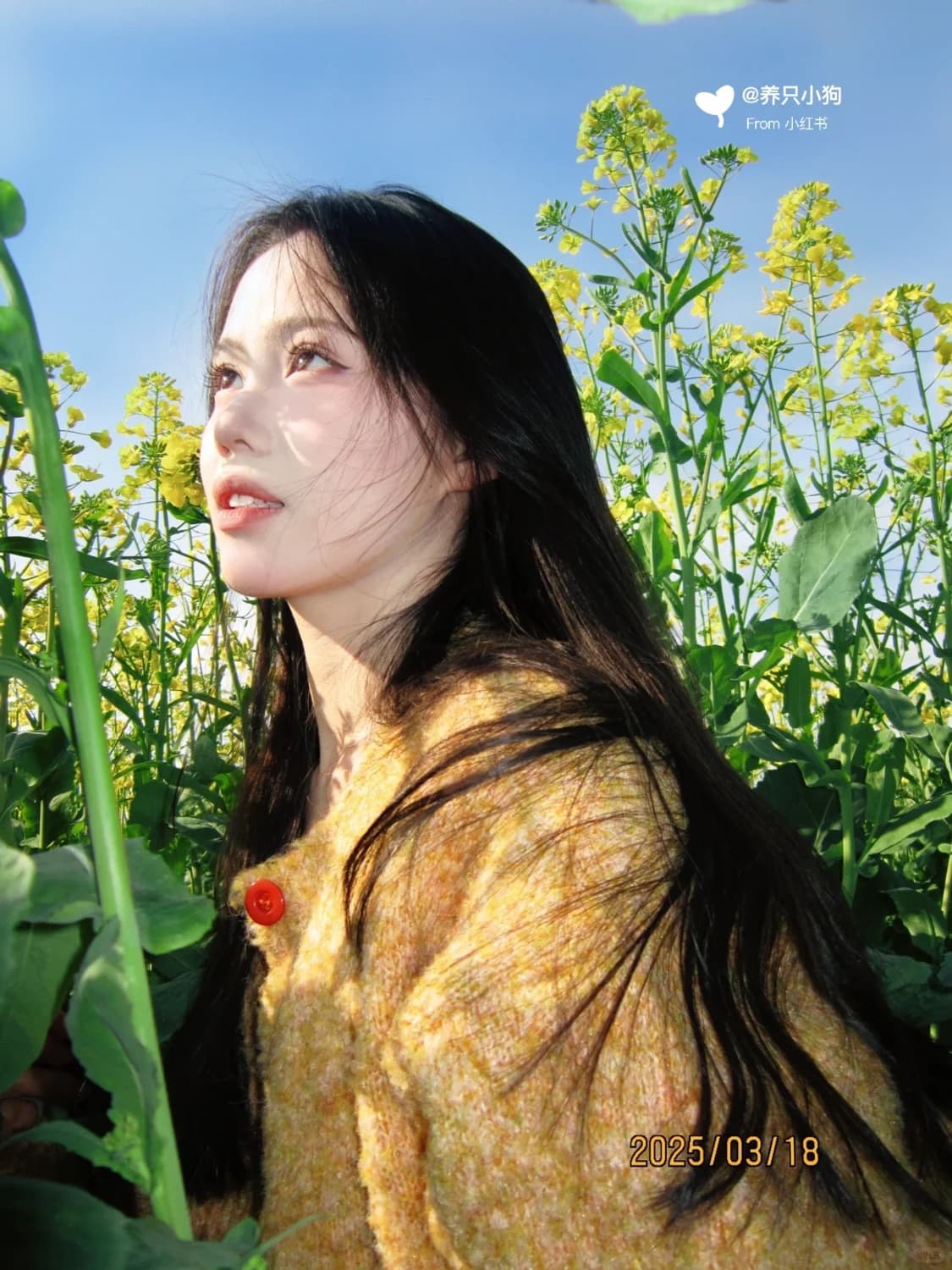 캐논 파워샷 A3300is   상품이미지10