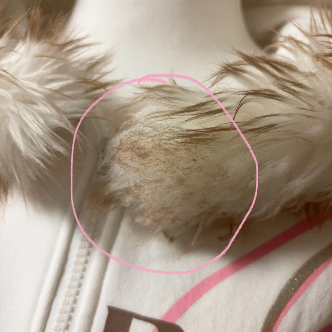 울프죠 프린팅 기모 후드집업  갸루y2k 상품이미지4