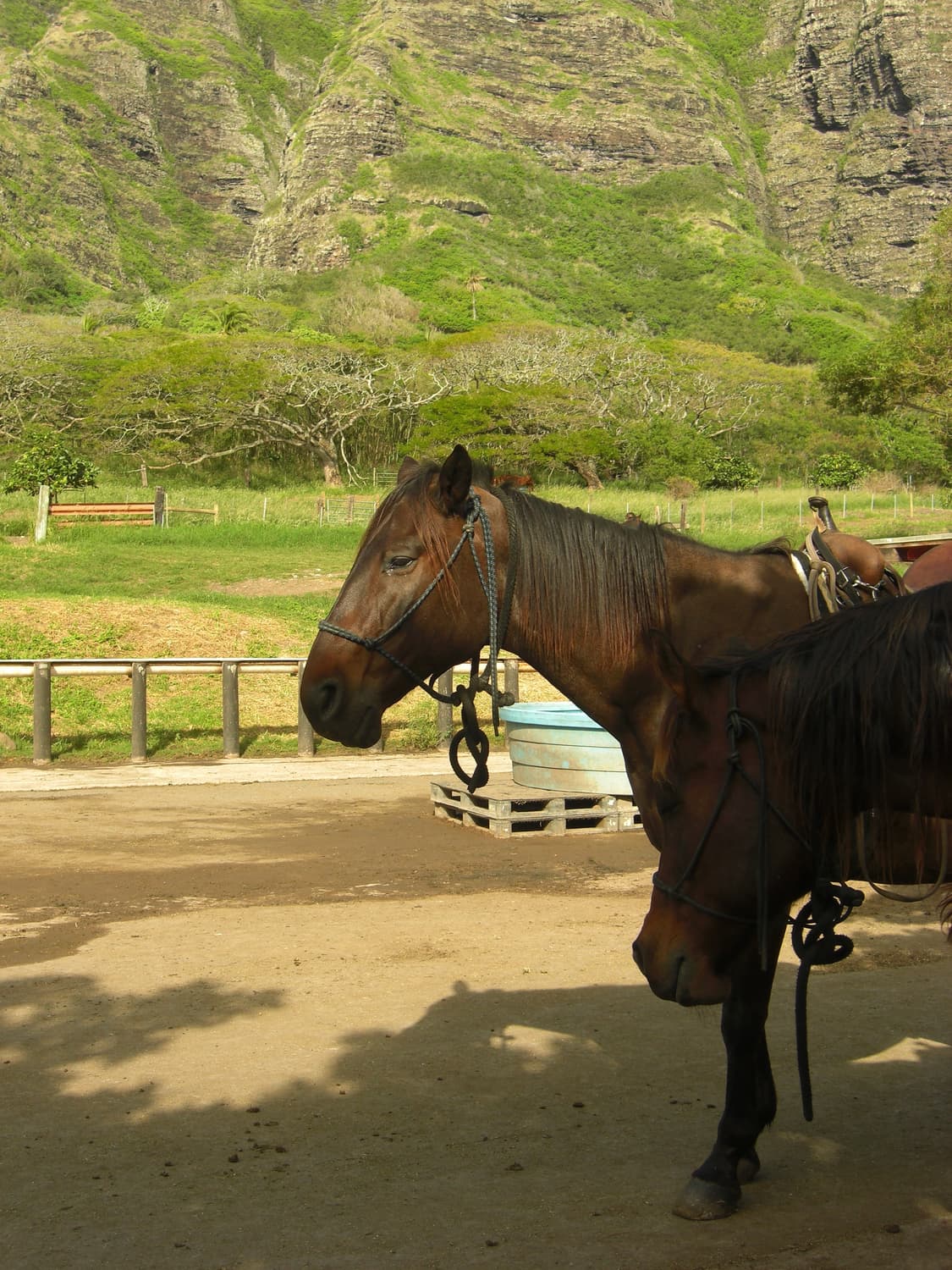 카시오 엑슬림 EX-Z1080 디카 디지털카메라 EXILIM 상품이미지6