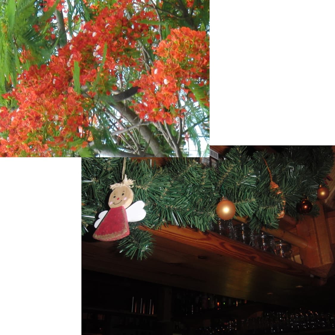 디카 casio ex fs10 (작례 0) 상품이미지4