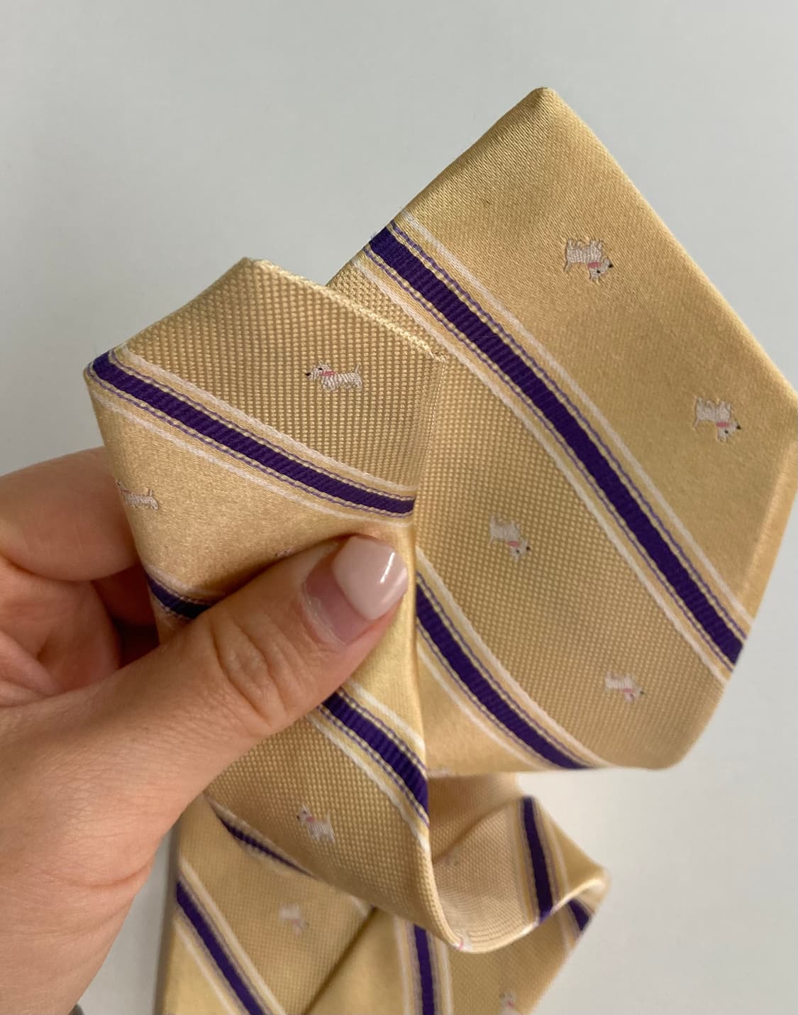 챕스 넥타이 상품이미지5