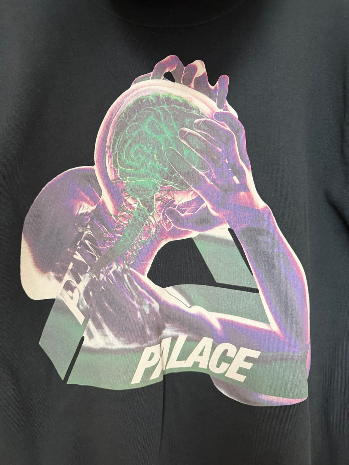 [XL] 팔라스 뇌하수체 후드티 상품이미지3